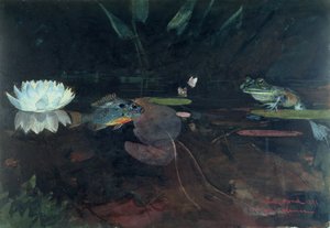 Mink-Teich
